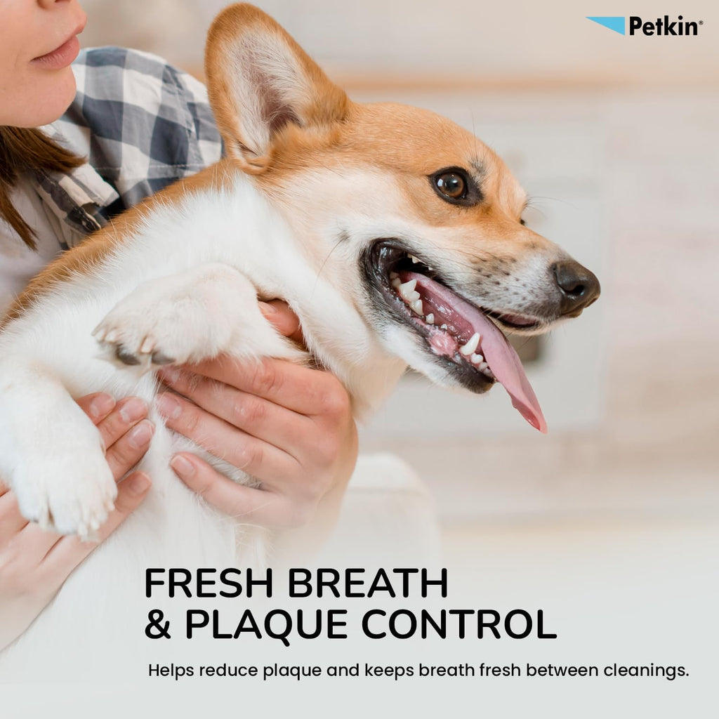 Petkin Plaque Toothwipes Fresh Mint 2 Packs of 40 Wipes - Cleans Teeth, Gums, Plaque & Tartar, freshens Breath. Tooth Wipe for cat or Dog.