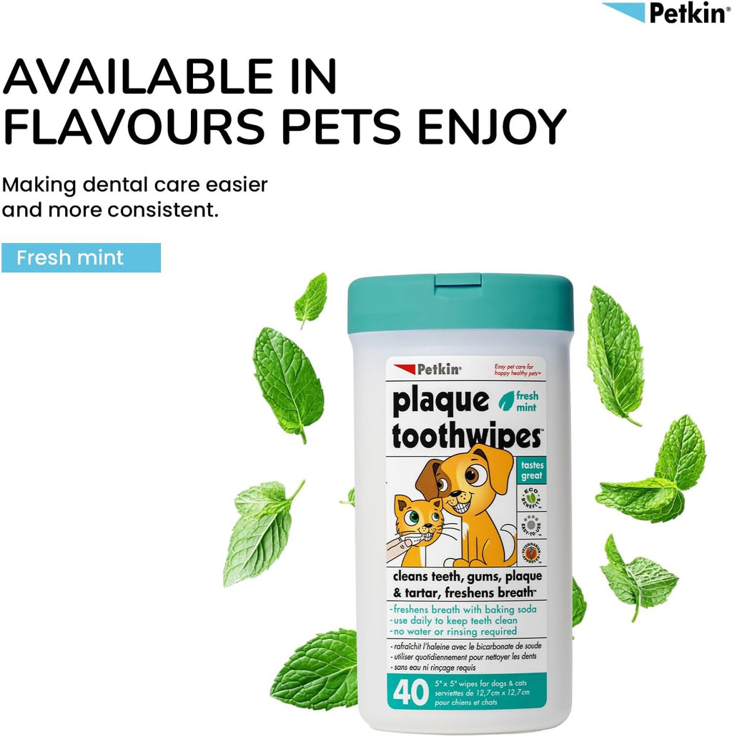 Petkin Plaque Toothwipes Fresh Mint 2 Packs of 40 Wipes - Cleans Teeth, Gums, Plaque & Tartar, freshens Breath. Tooth Wipe for cat or Dog.