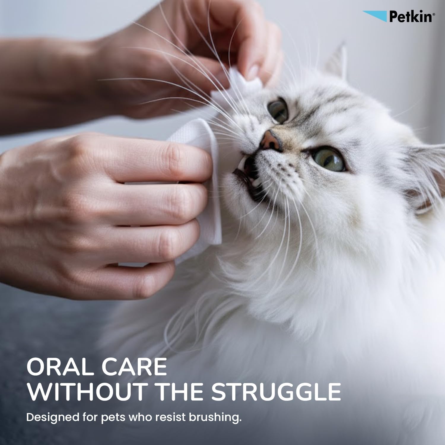 Petkin Plaque Toothwipes Fresh Mint 2 Packs of 40 Wipes - Cleans Teeth, Gums, Plaque & Tartar, freshens Breath. Tooth Wipe for cat or Dog.