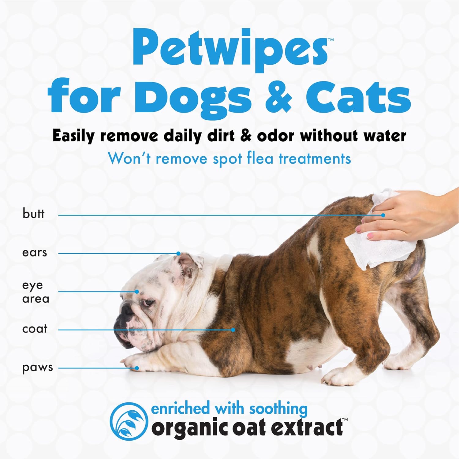 Petkin Petwipes, 100 Wipes – Big 'n Thick Extra Large Pet Wipes for Dogs and Cats – Cleans Face, Ears, Body and Eye Area – Super Convenient, Ideal for Home or Travel – Single Pack of 100 Wipes